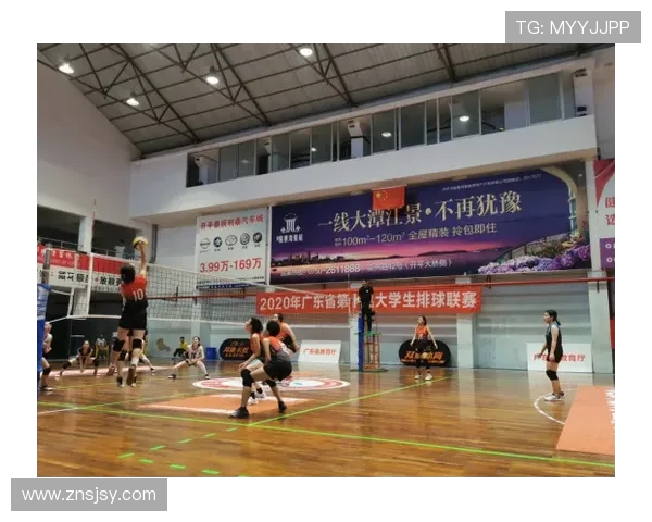 广州排球队转换得失分析与未来发展展望 广州排球队转换得失分析与未来发展展望