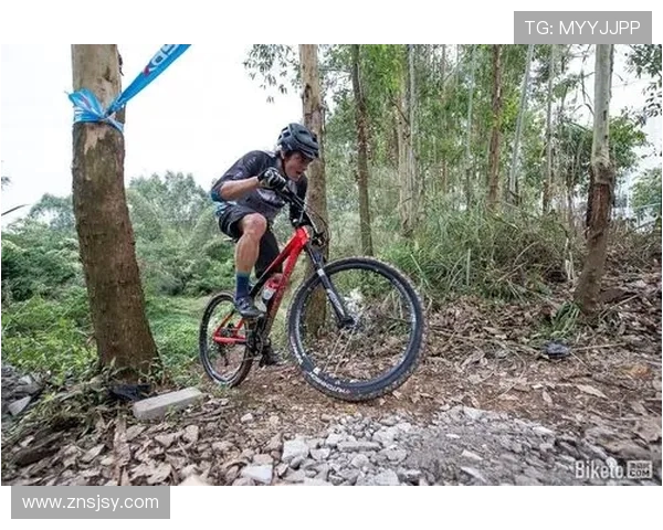 重庆极限运动队荣登极限运动战术排行榜第一名的背后故事
