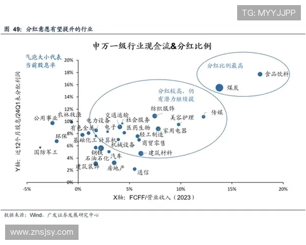 南京滑板队的成功运营模式与发展策略深度解析 南京滑板队的成功运营模式与发展策略深度解析