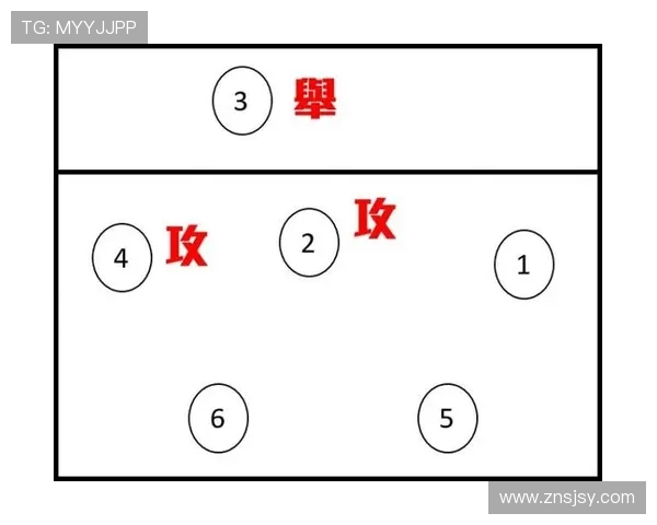 成都排球队的转换打法深度解析与战术创新探讨