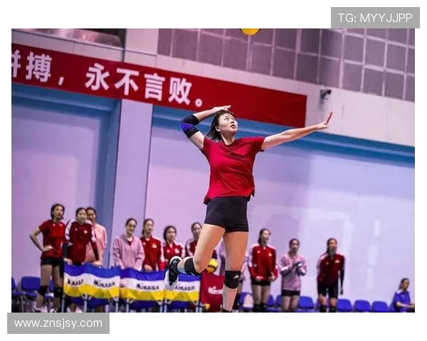 广州排球队实力强劲荣登全国排球实力排行榜第八名