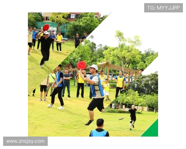 武汉飞盘队快攻战术揭秘与深度分析飞盘运动的魅力与团队协作